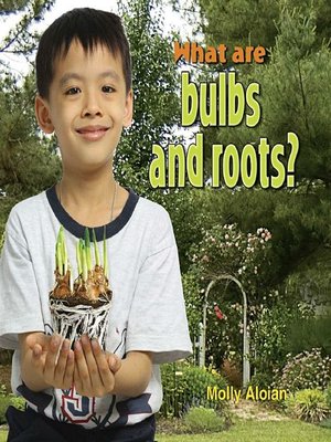 cover image of What Are Bulbs and Roots?